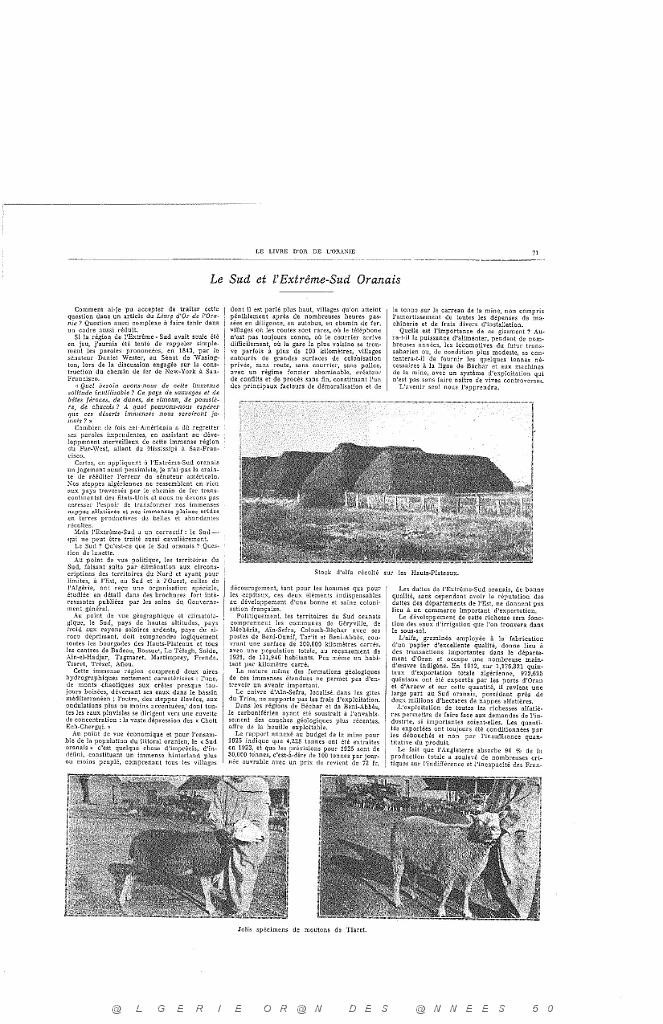 LIVRE D OR DE L ORANIE_000022.jpg